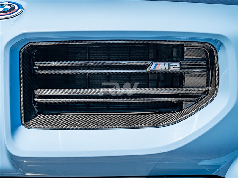 RW Carbon BMW G87 M2 OEM Style Carbon Fiber Grille