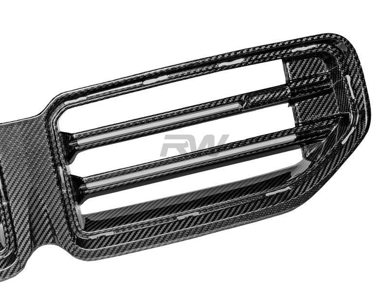 RW Carbon BMW G87 M2 OEM Style Carbon Fiber Grille
