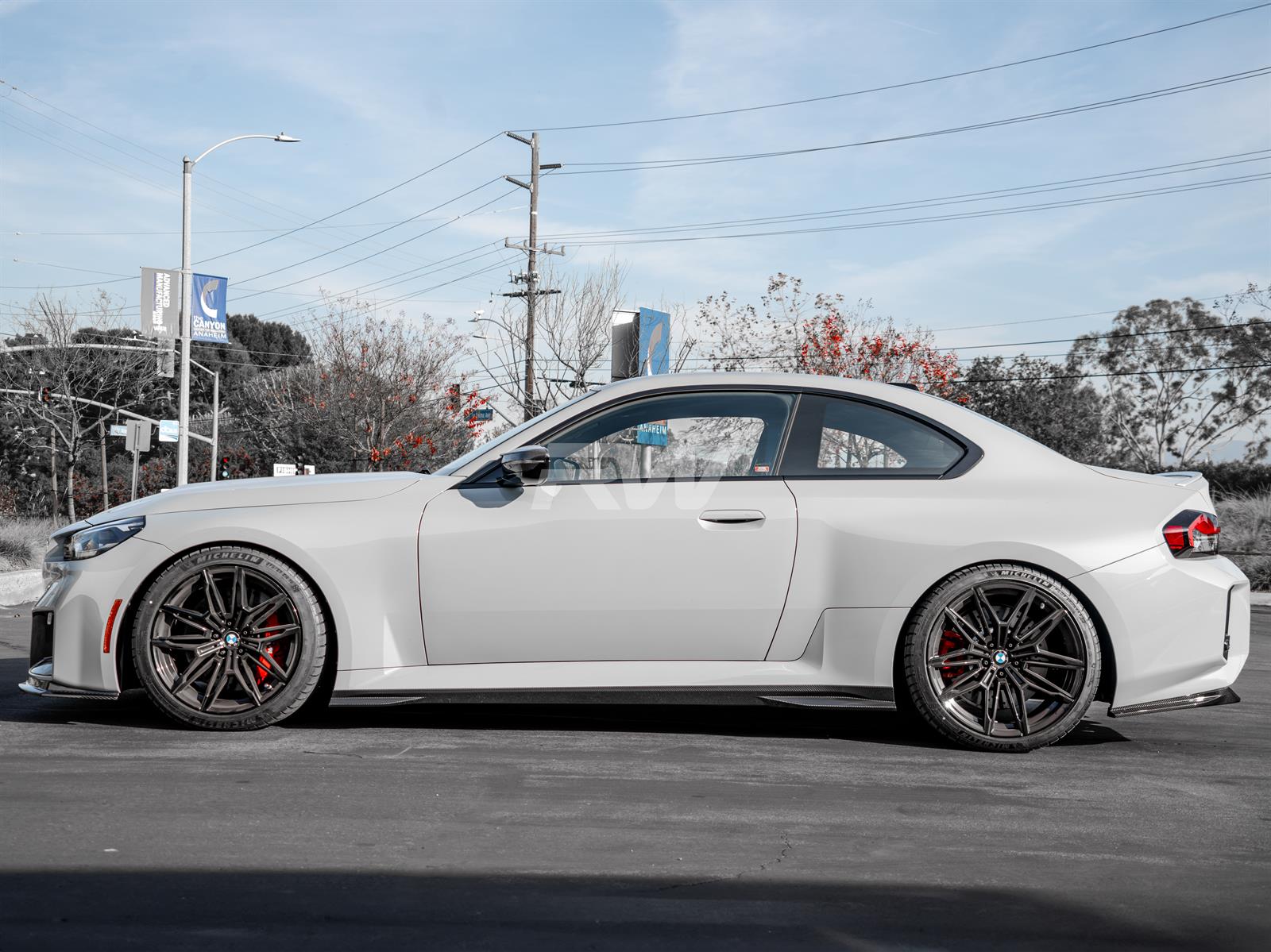 RW Carbon BMW G87 M2 GTX Carbon Fiber Side Skirts